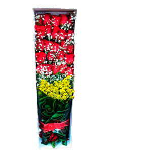 floristería Palermo Manizales